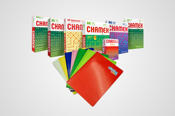 Papeles y cuadernos
